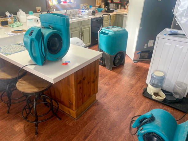  Ledbetter, KY Water damage restoration Pros