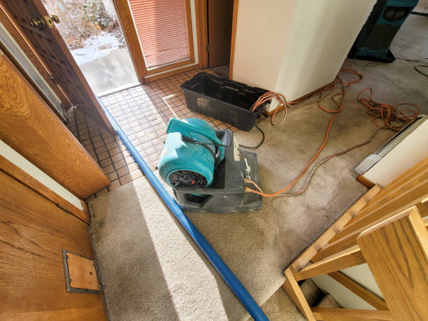 Best Local water damage restoration  in Ledbetter, KY