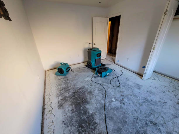 Best Ceiling water damage repair  in Ledbetter, KY