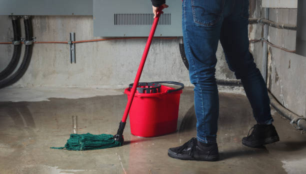 Best Water damage restoration mold remediation  in Ledbetter, KY