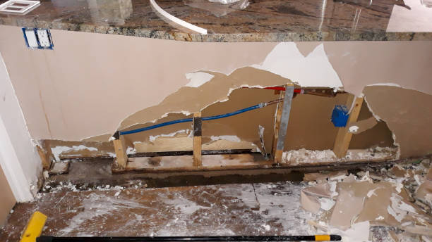 Best Flood damage cleanup  in Ledbetter, KY
