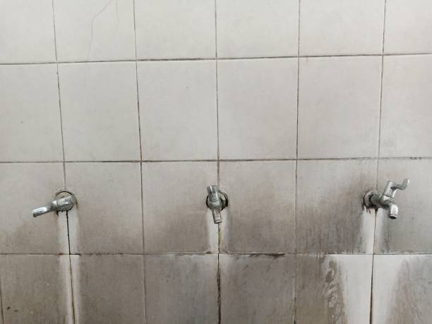Water damage restoration mold remediation in Ledbetter, KY