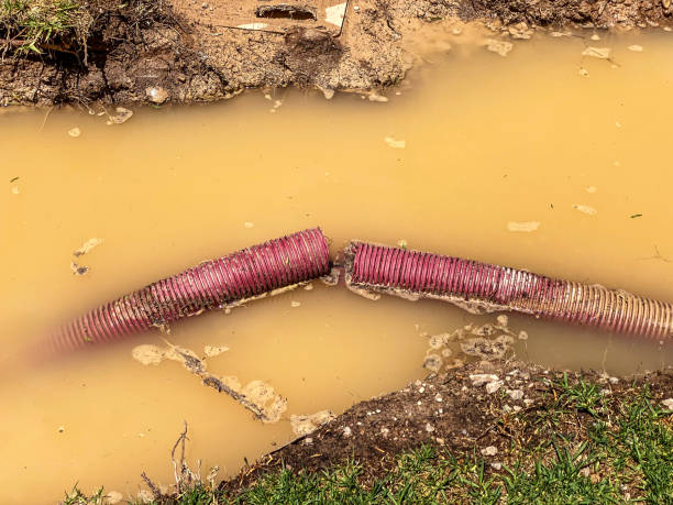Best Water damage restoration near me  in Ledbetter, KY